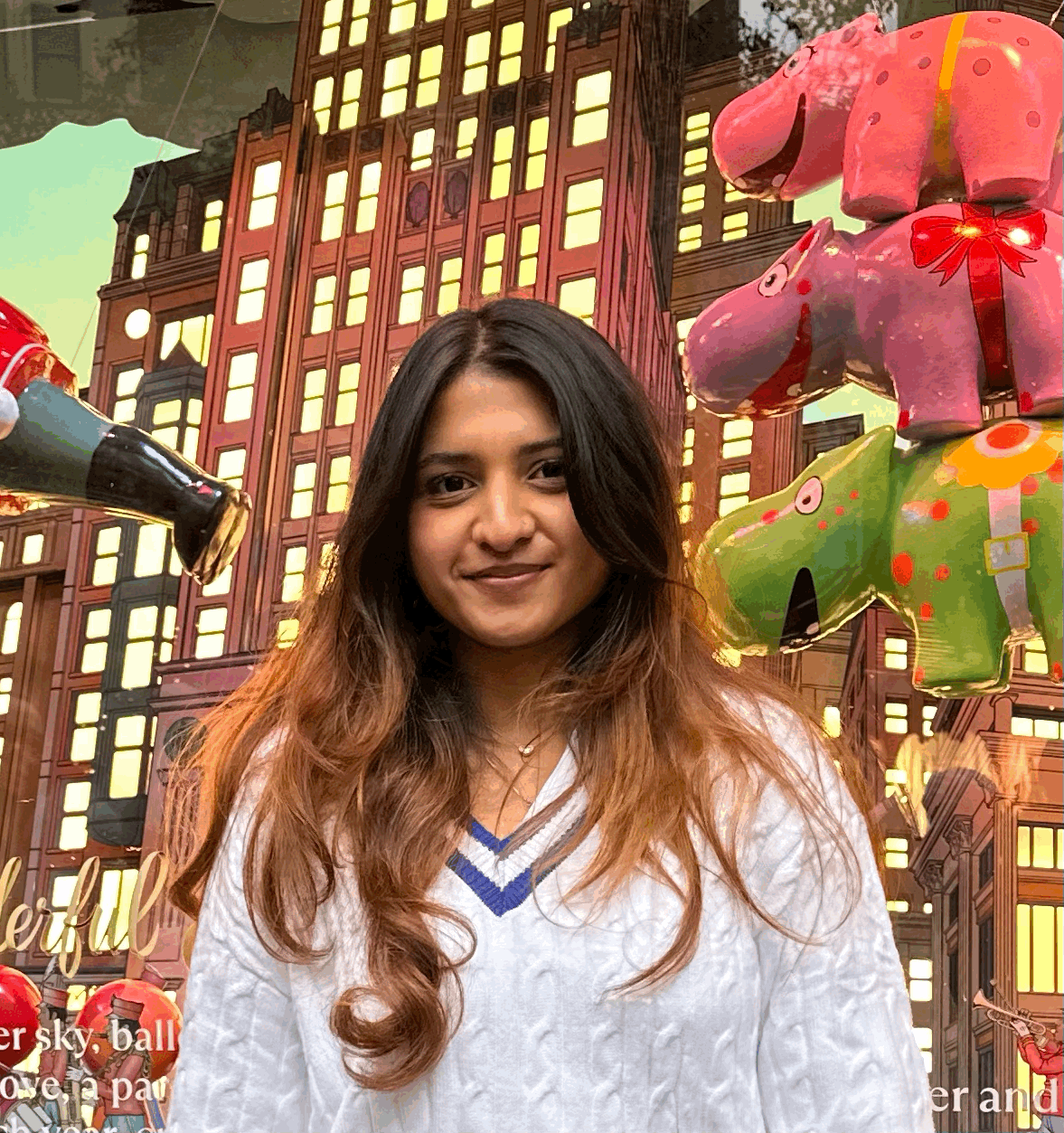 Meenu Kalaiselvan Kavitha